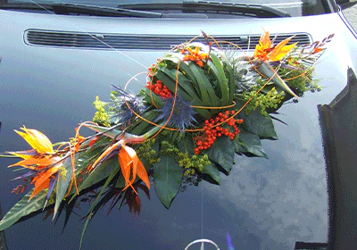 Außergewöhnlicher exotischer Autoschmuck mit orangen Strelitzien, Beeren, Blattgrün und Gräsern auf dunkler Motorhaube