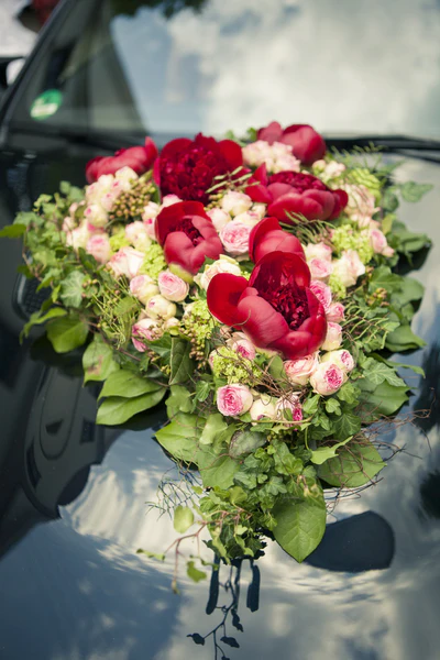 Herzförmiger Autoschmuck aus roten Pfingstrosen, rosa Rosen und Hortensien auf dunkler Motorhaube eines Hochzeitsautos