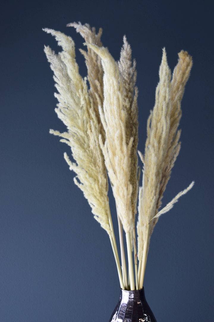 Eryanthusgras natur 120 cm