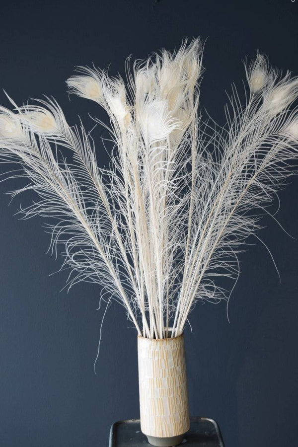 Pfaunfedern gebleicht 100 cm