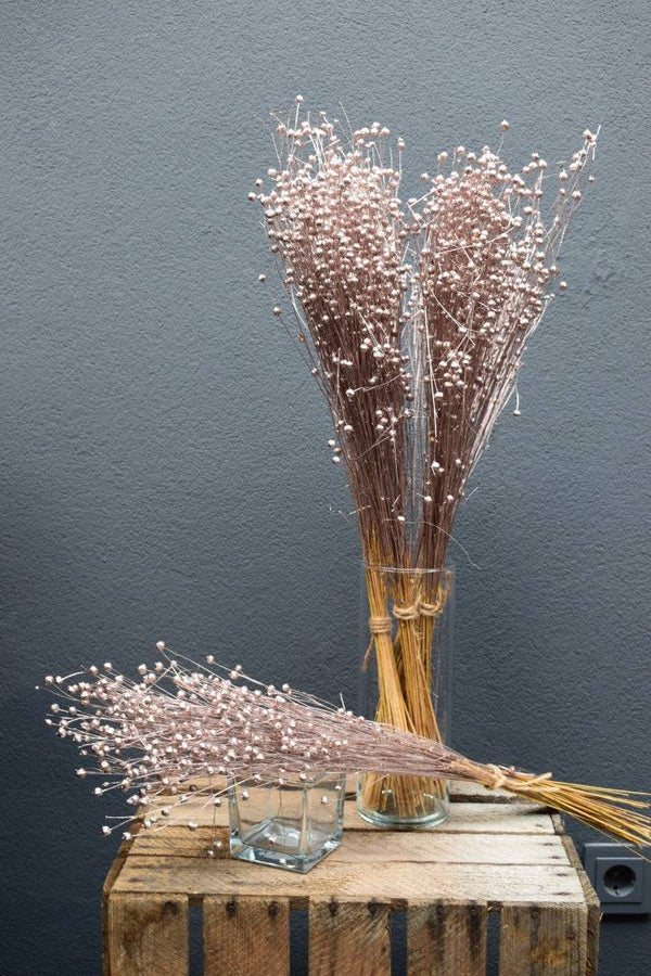Linogras rosegold